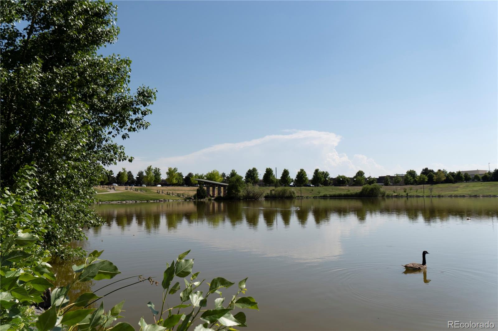 4636 N Sicily Street Aurora CO 80019