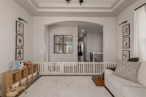 7224 Calcite Court Castle Rock CO 80108