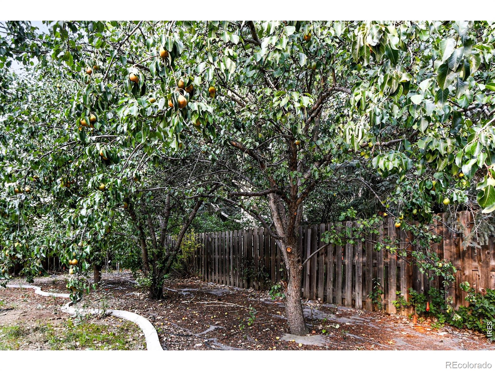 2020 Diamond Drive Longmont CO 80504