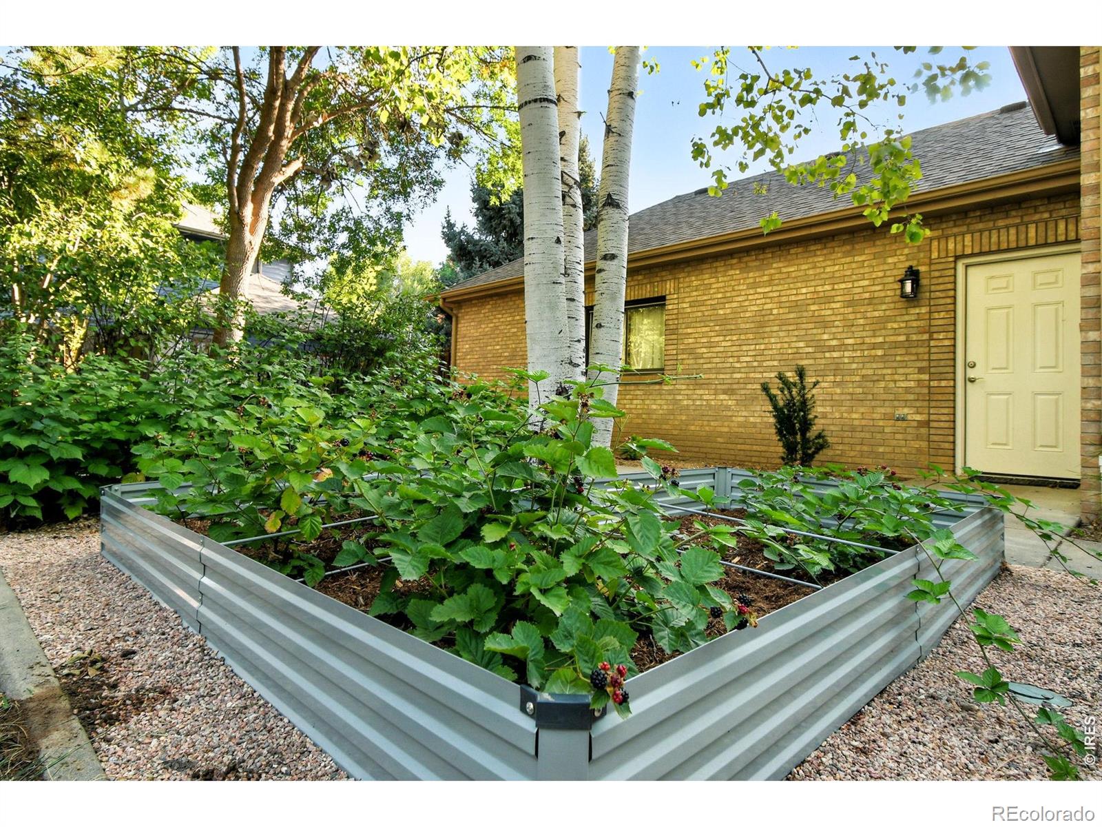 2020 Diamond Drive Longmont CO 80504