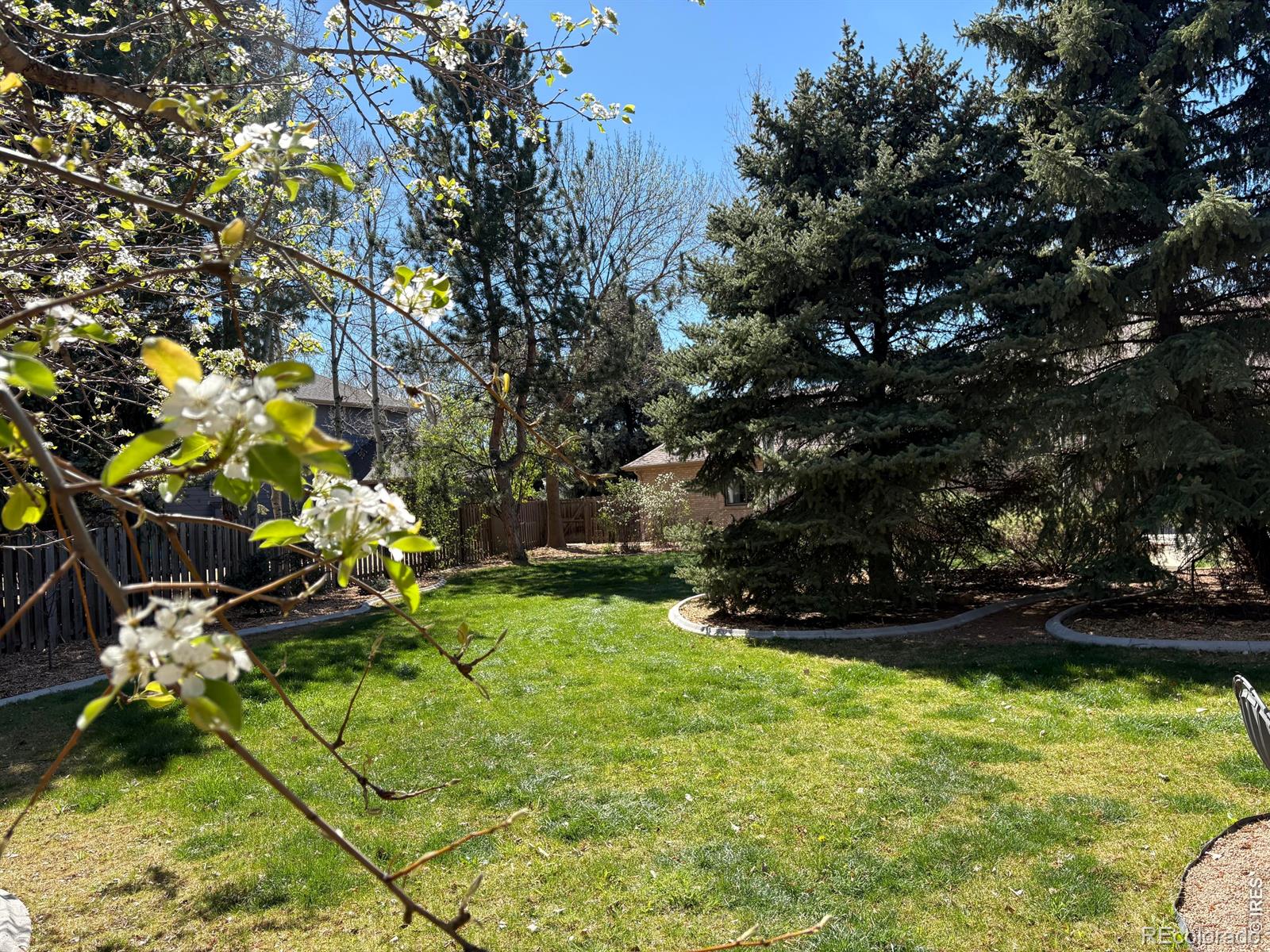 2020 Diamond Drive Longmont CO 80504