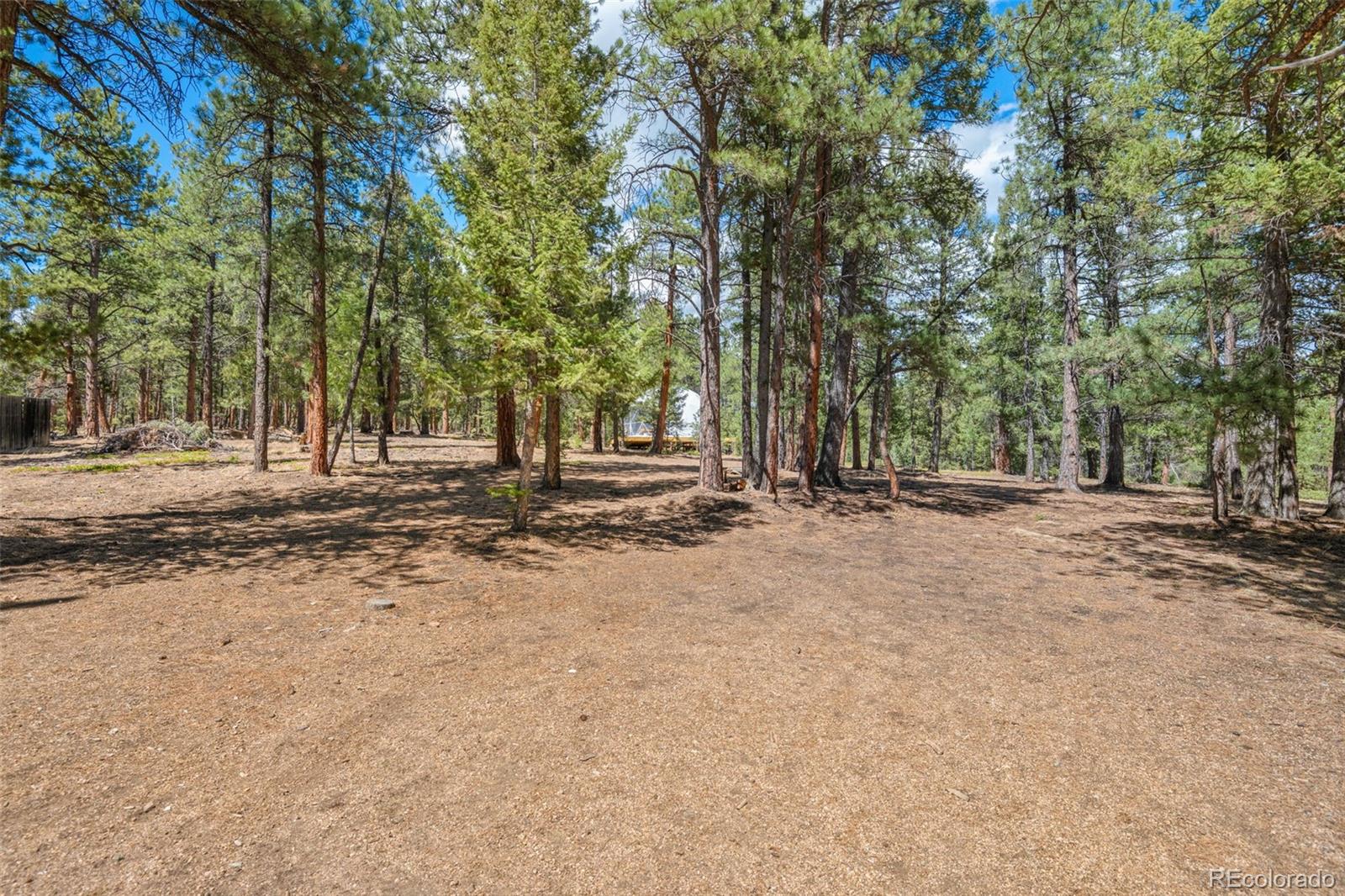 237 Road B Pine CO 80470