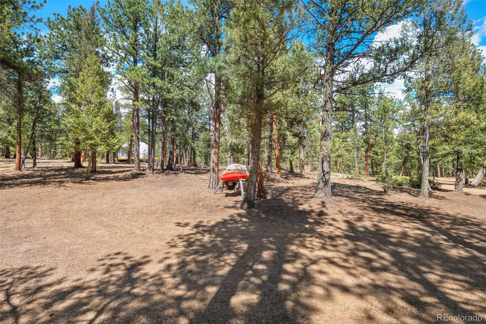 237 Road B Pine CO 80470