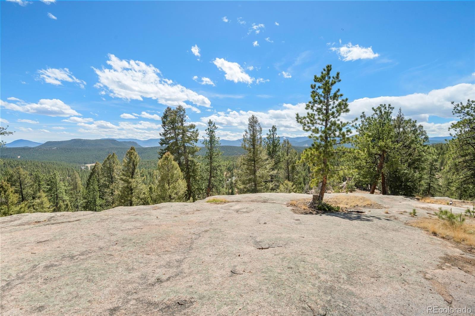 237 Road B Pine CO 80470
