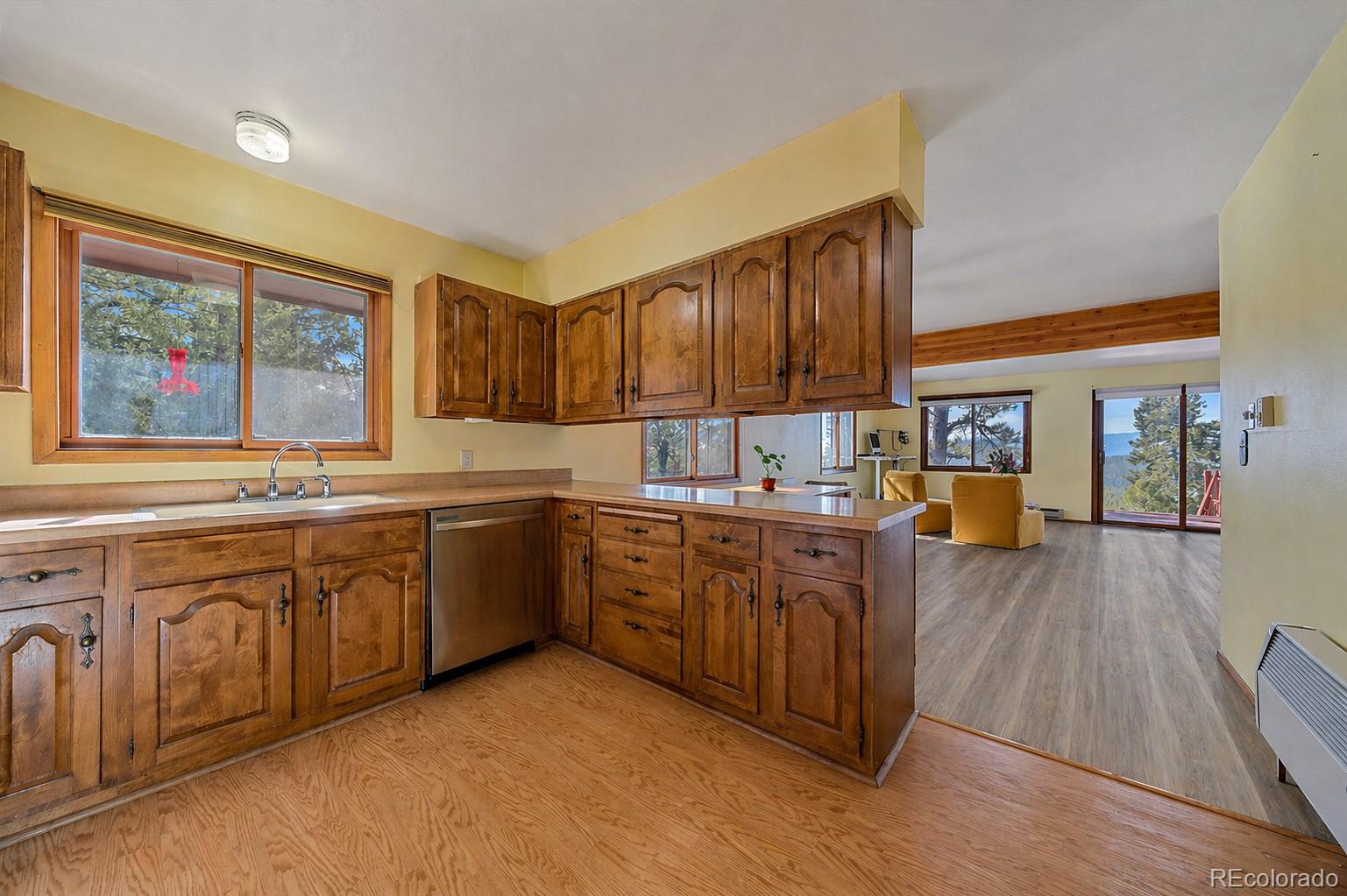237 Road B Pine CO 80470