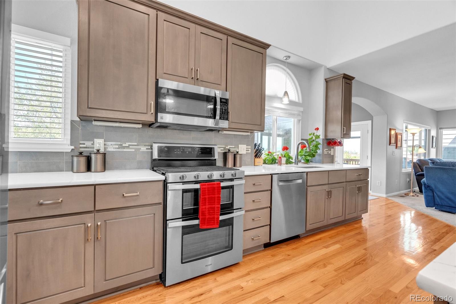 9033 Edgewood Street Highlands Ranch CO 80130