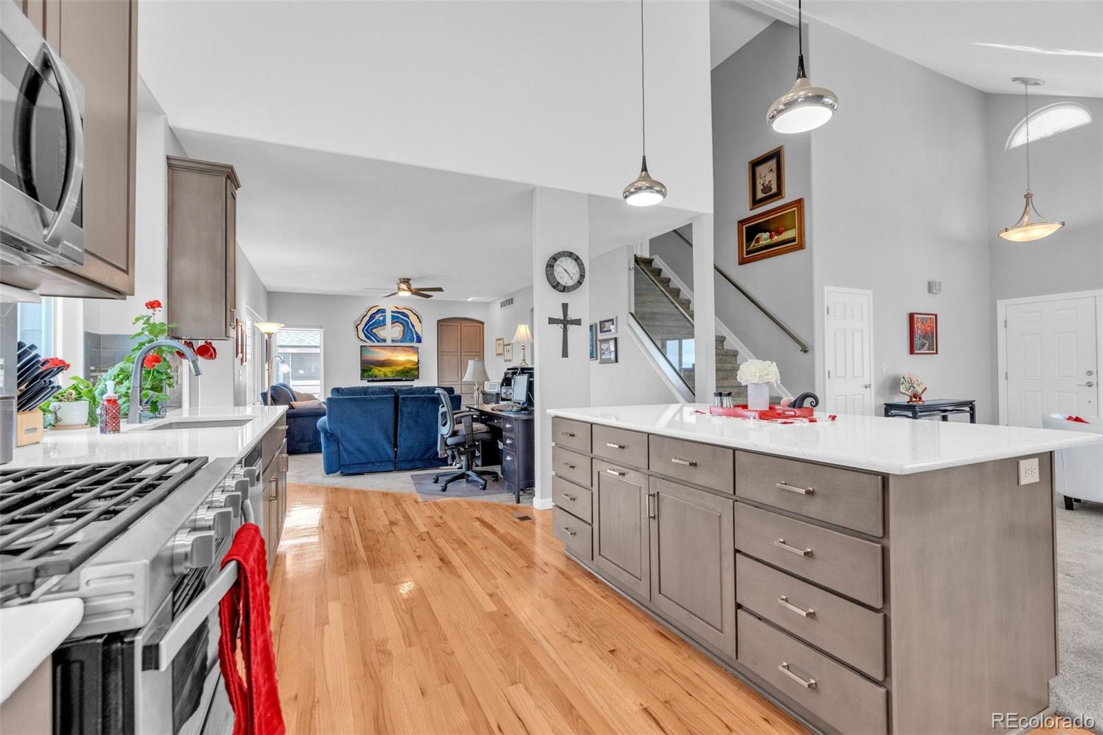 9033 Edgewood Street Highlands Ranch CO 80130