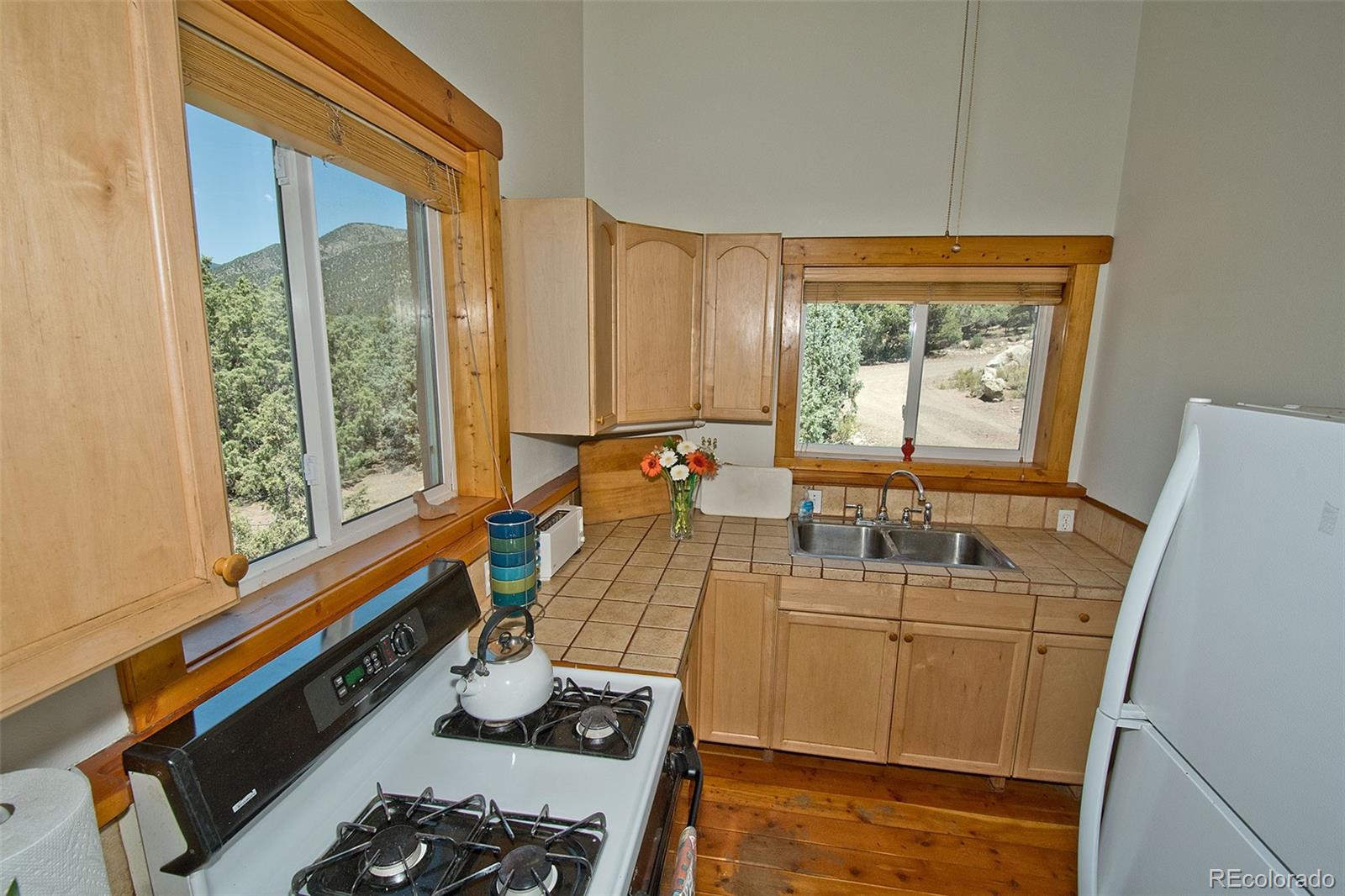 4420 Twinview Court Crestone CO 81131
