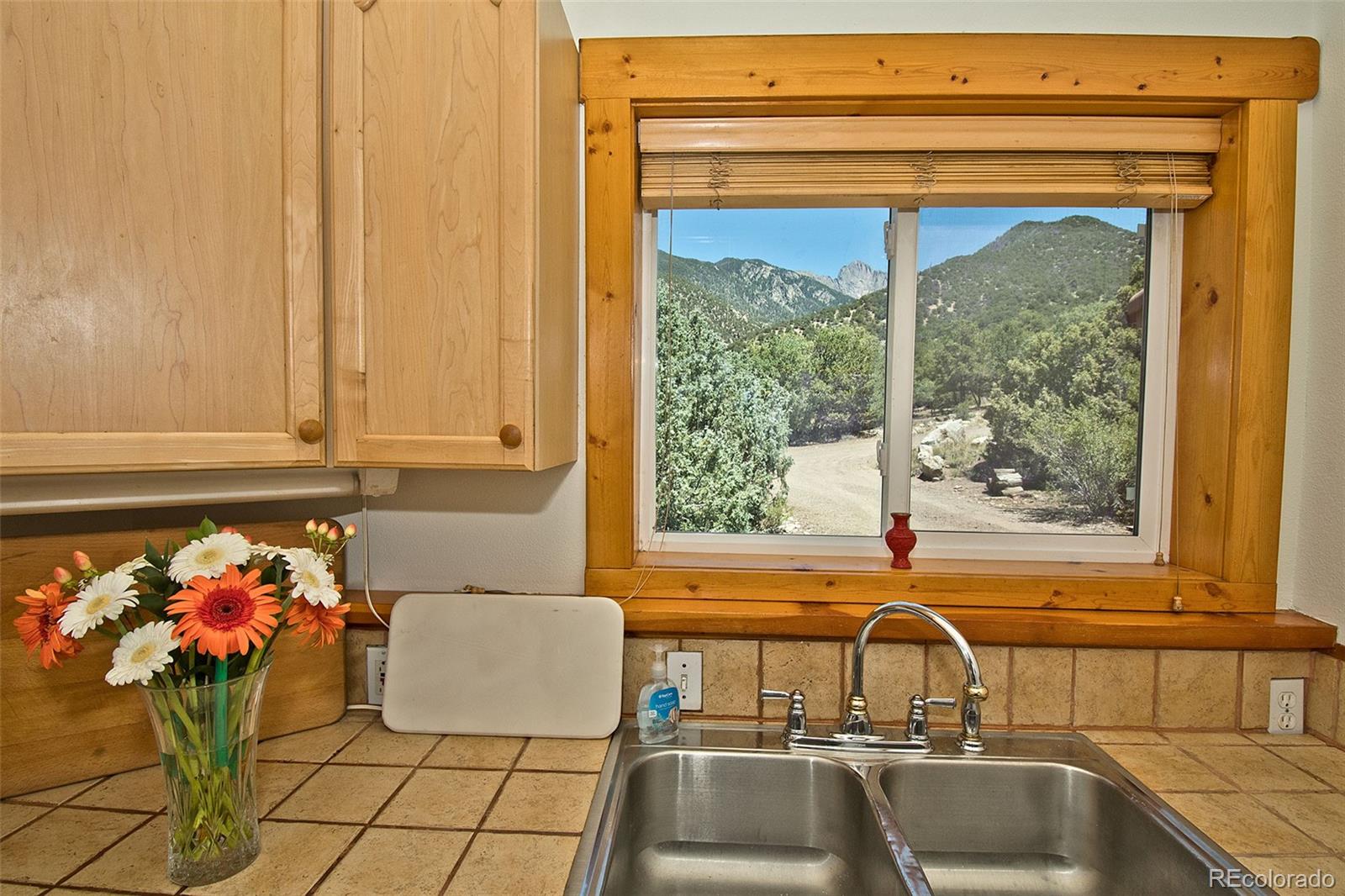 4420 Twinview Court Crestone CO 81131