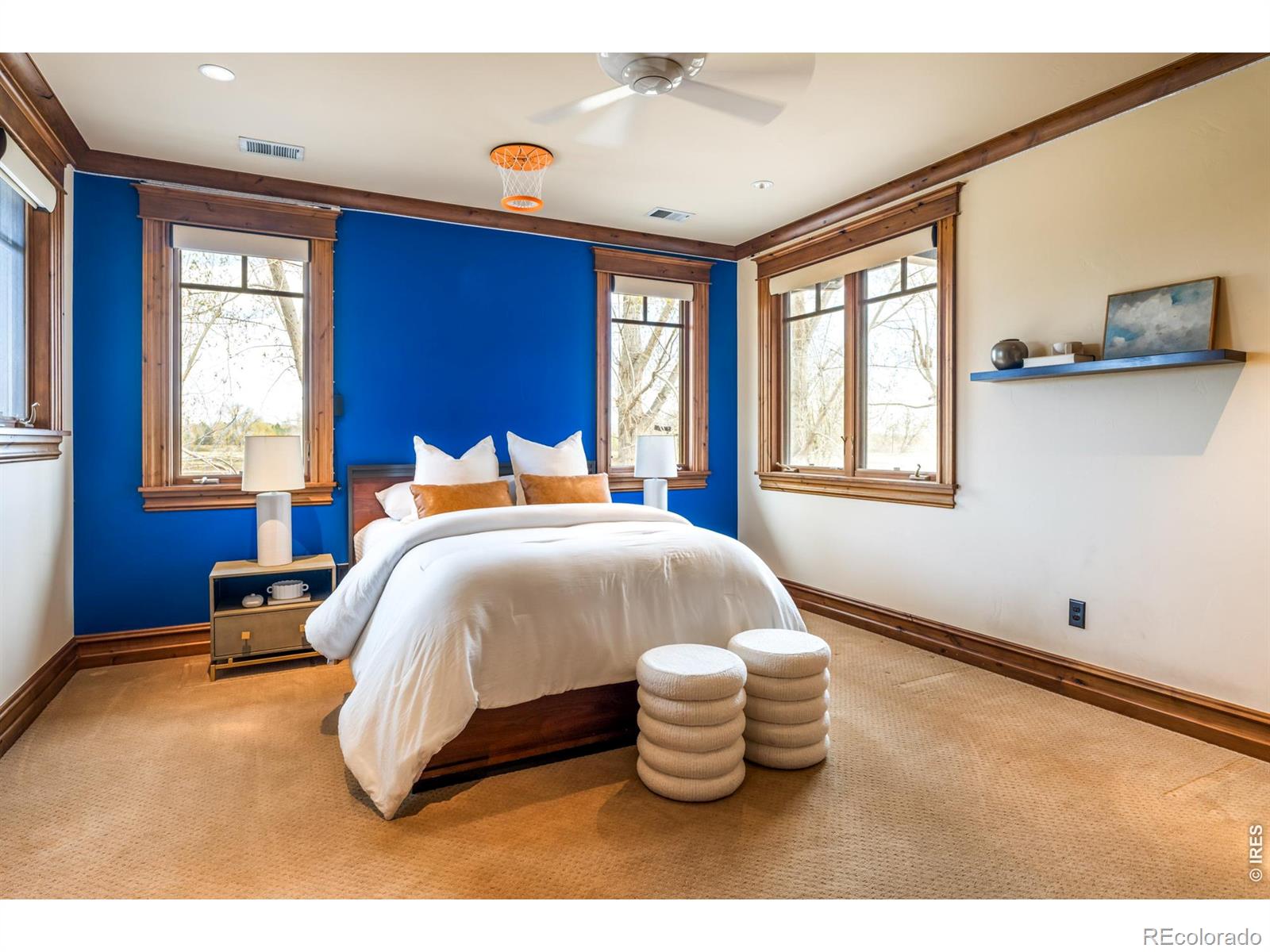 11229 N 75th Street Longmont CO 80503