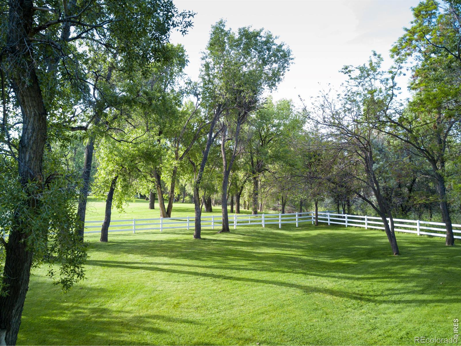 11229 N 75th Street Longmont CO 80503