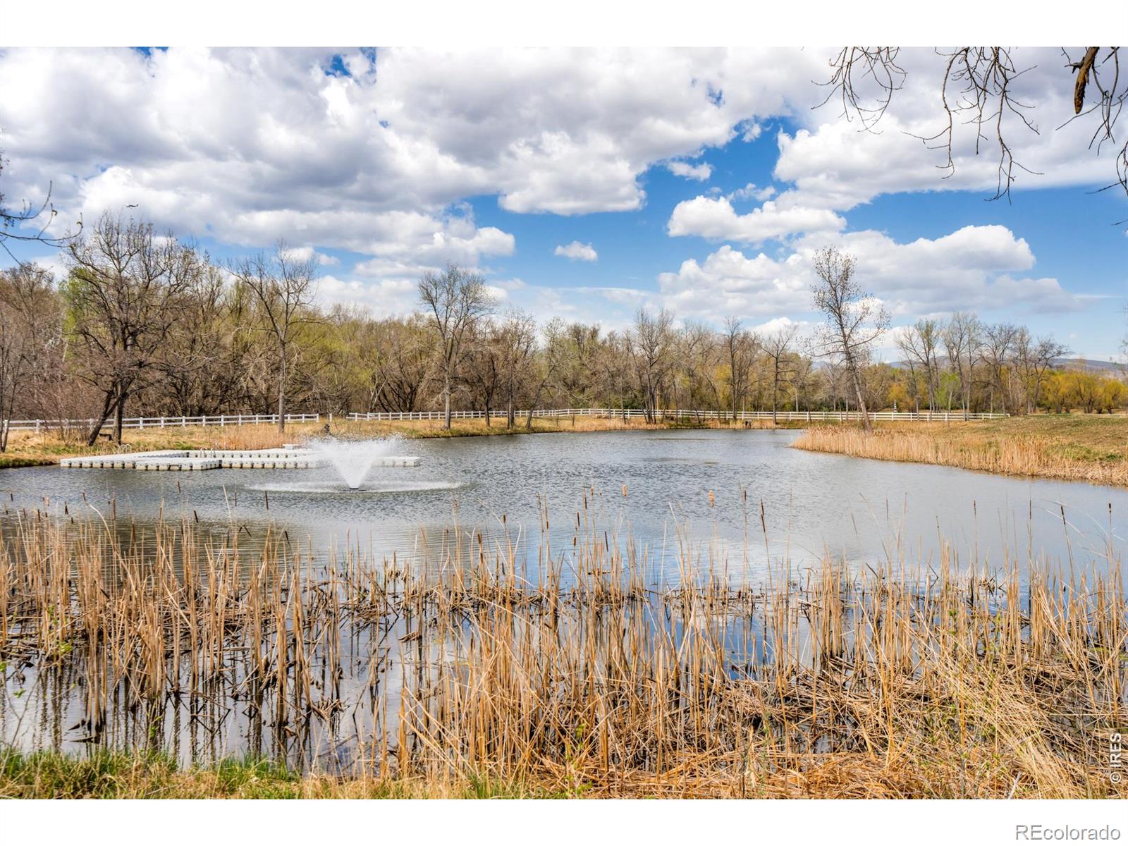 11229 N 75th Street Longmont CO 80503