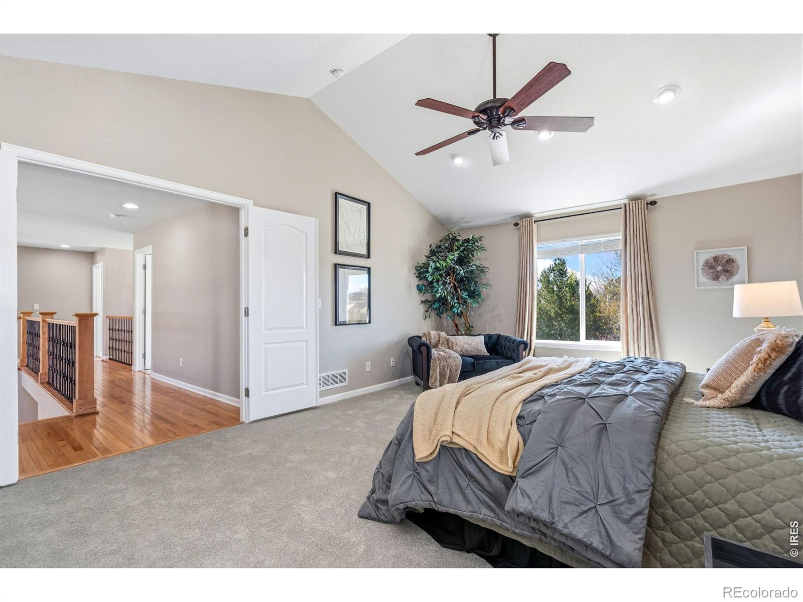 6326 Tilden Street Fort Collins CO 80528