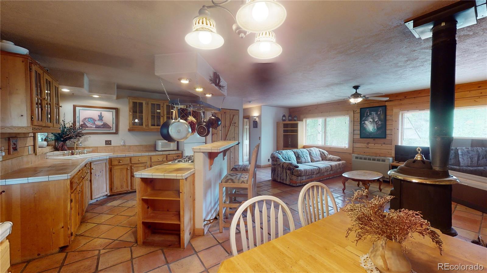 1011 Castle Ridge View Cripple Creek CO 80813