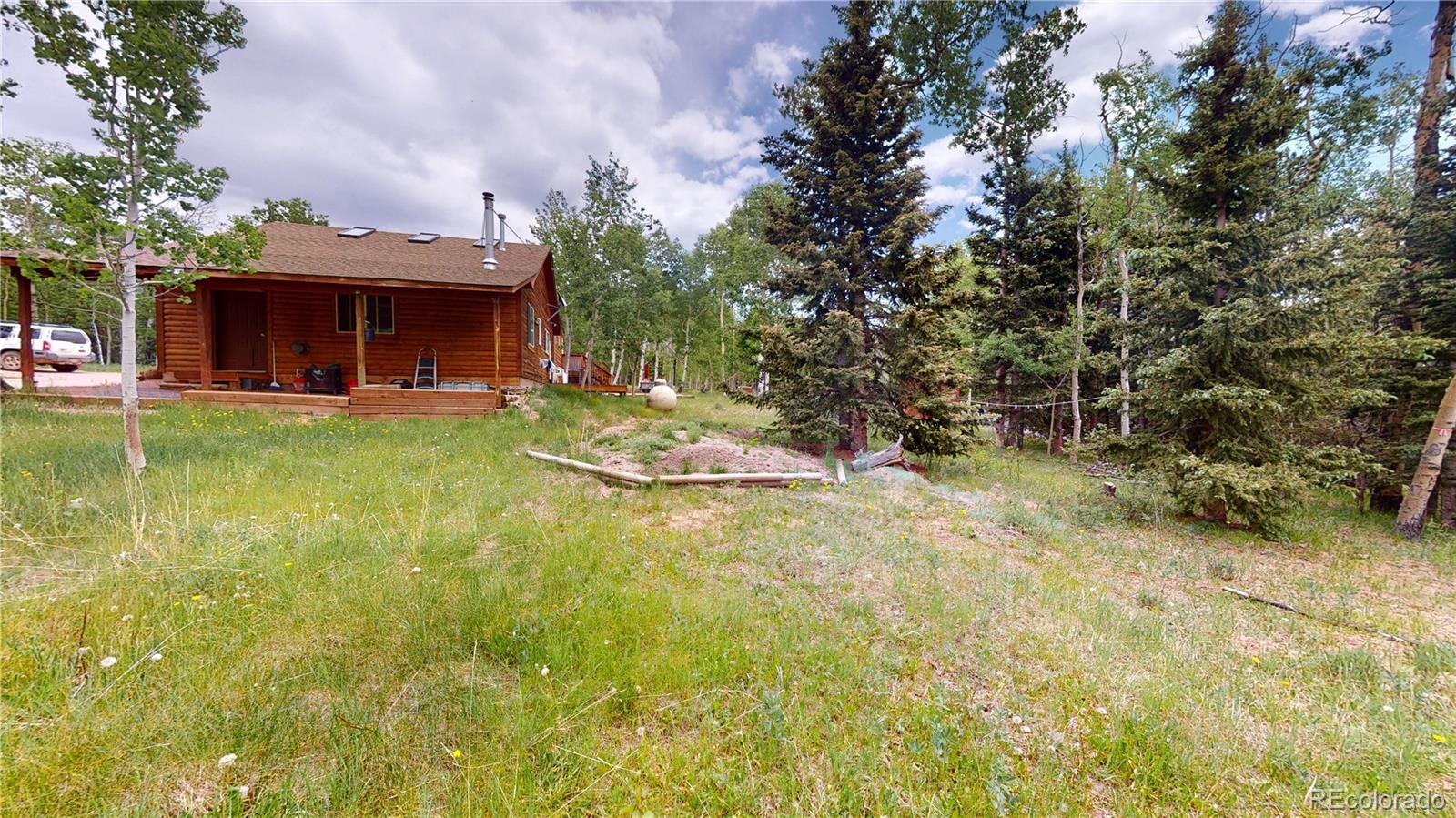 1011 Castle Ridge View Cripple Creek CO 80813