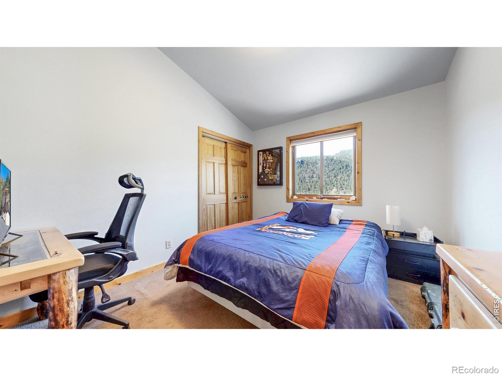 735 Castle Mountain Road Estes Park CO 80517