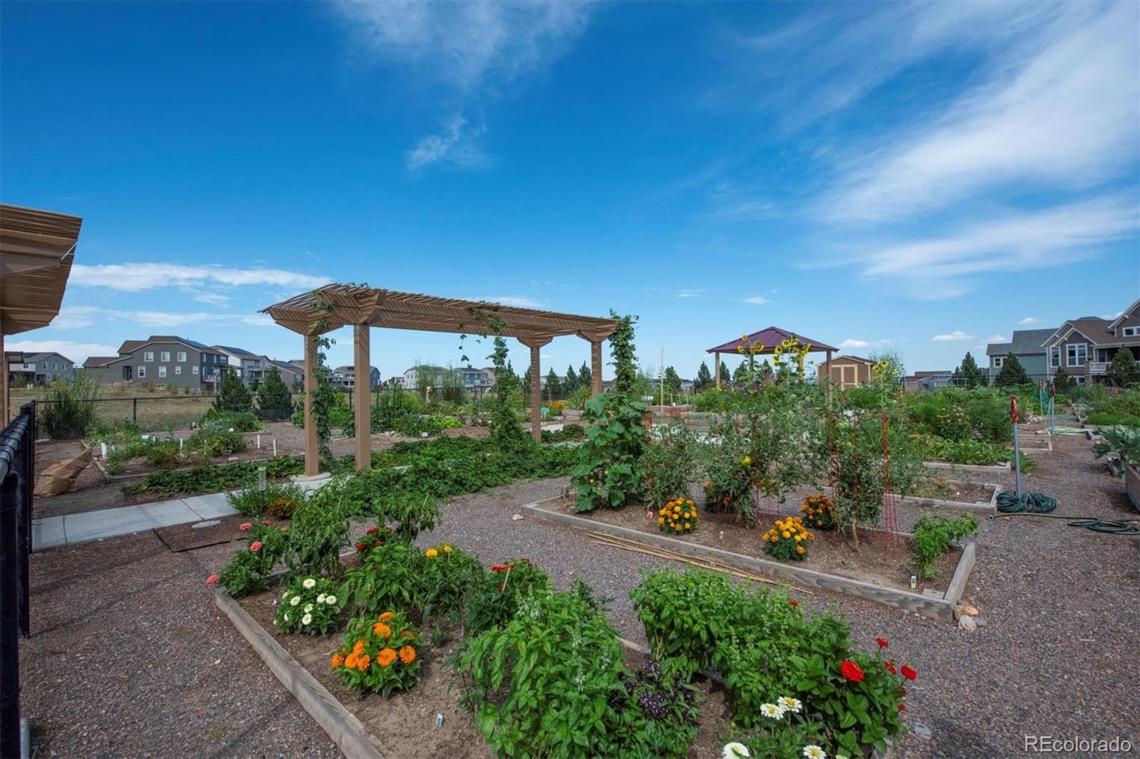 9353 Iron Mountain Way Arvada CO 80007