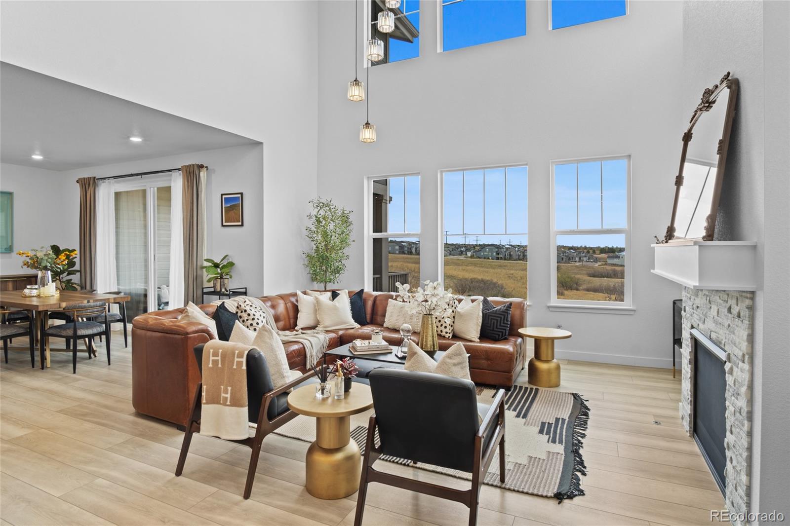 2917 Furthermore Lane Castle Rock CO 80108