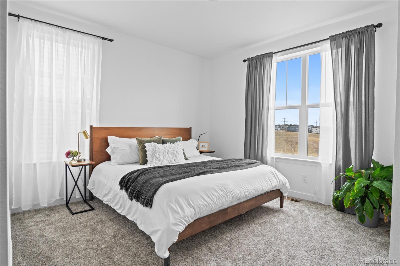 2917 Furthermore Lane Castle Rock CO 80108