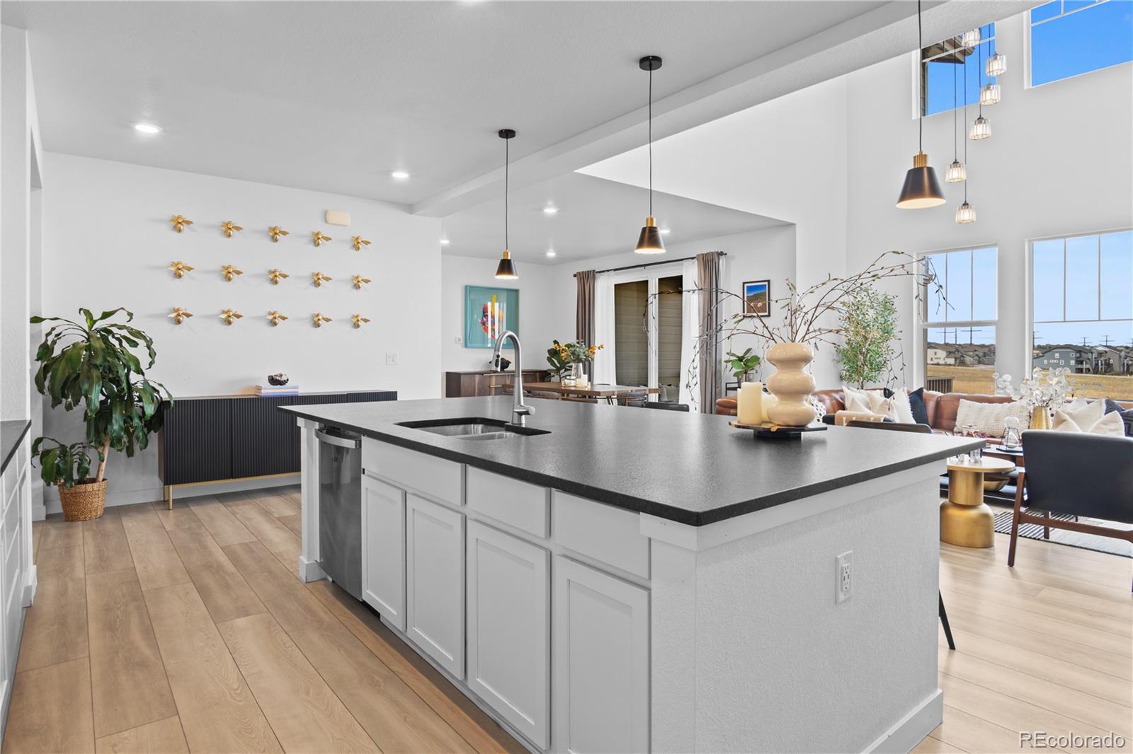 2917 Furthermore Lane Castle Rock CO 80108
