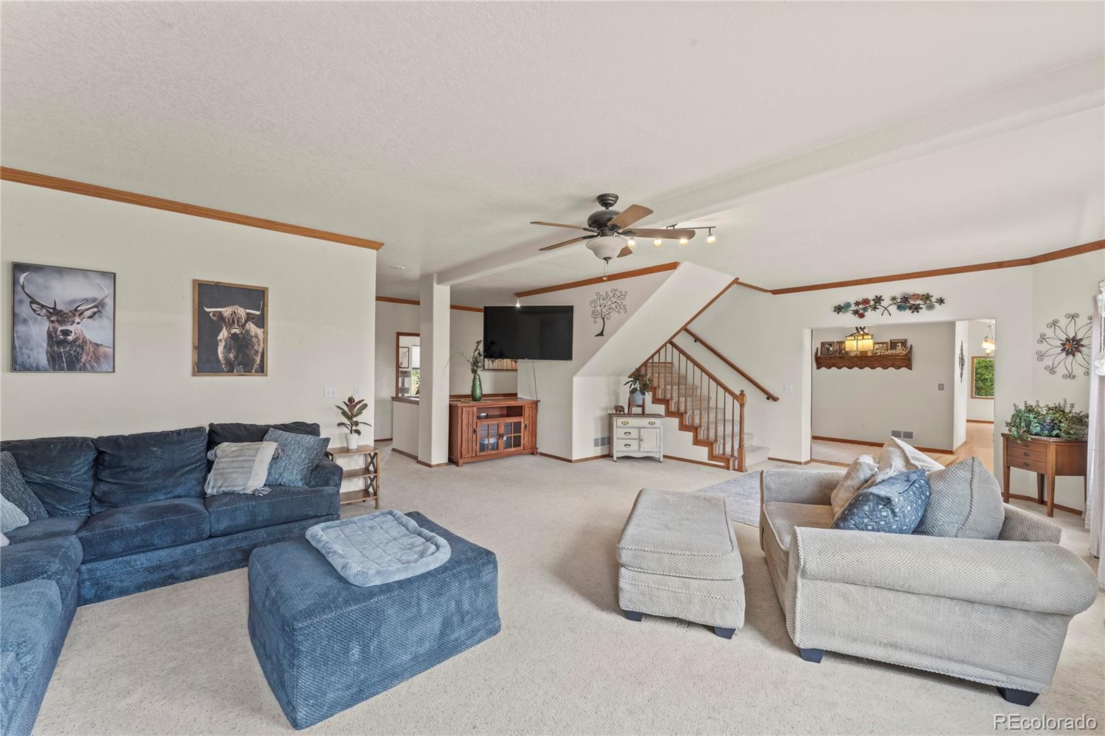 510 Banner Trail Florissant CO 80816