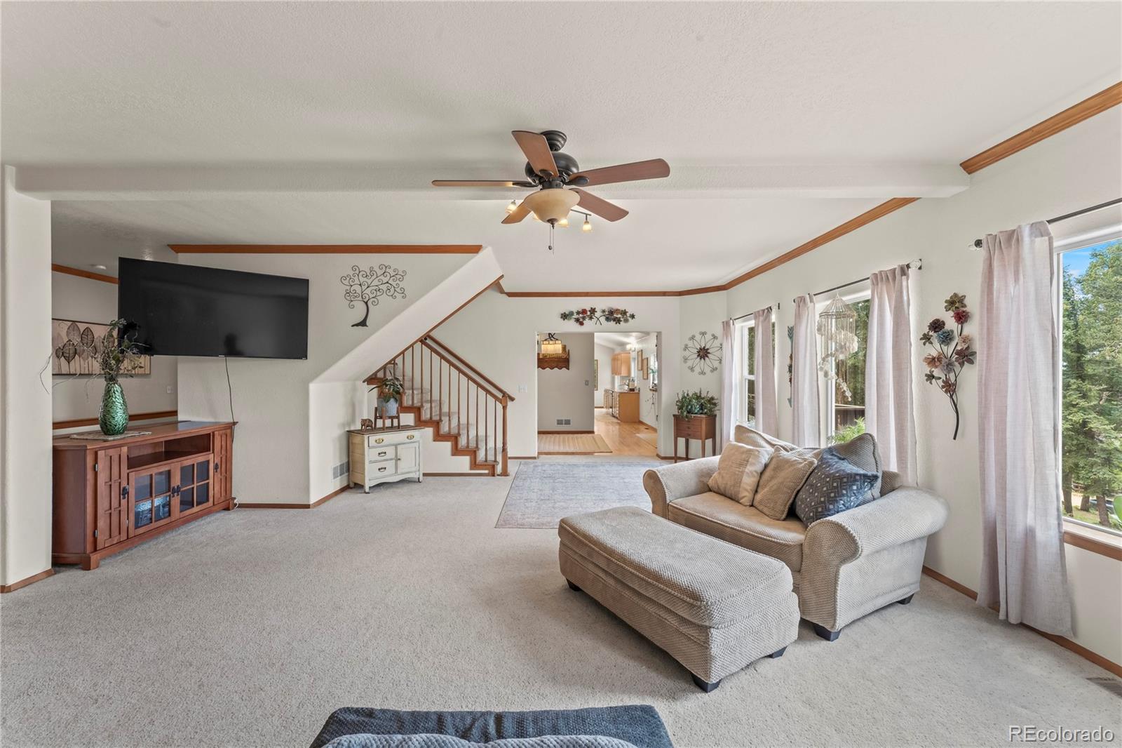 510 Banner Trail Florissant CO 80816