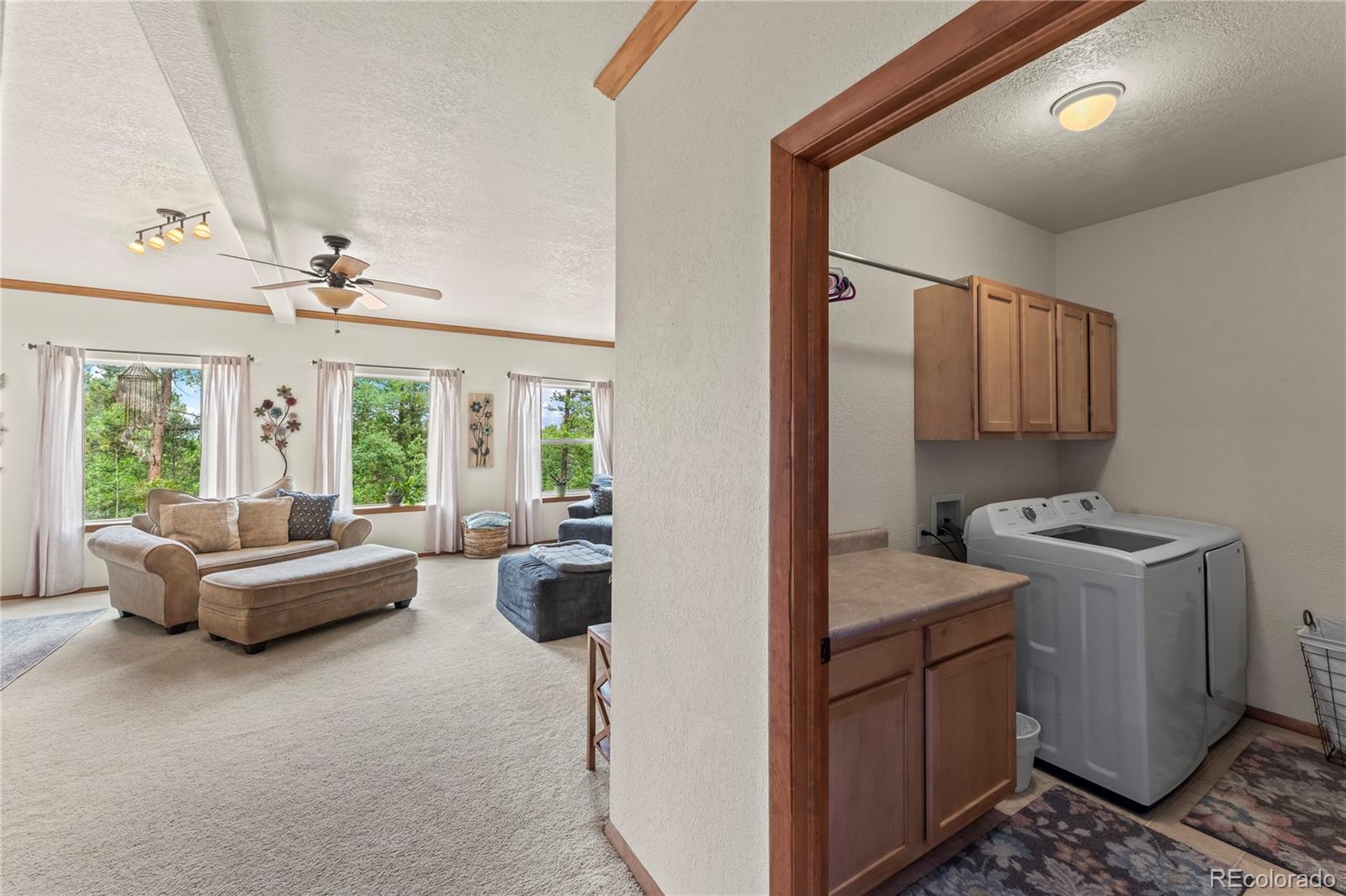 510 Banner Trail Florissant CO 80816