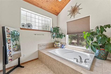 510 Banner Trail Florissant CO 80816