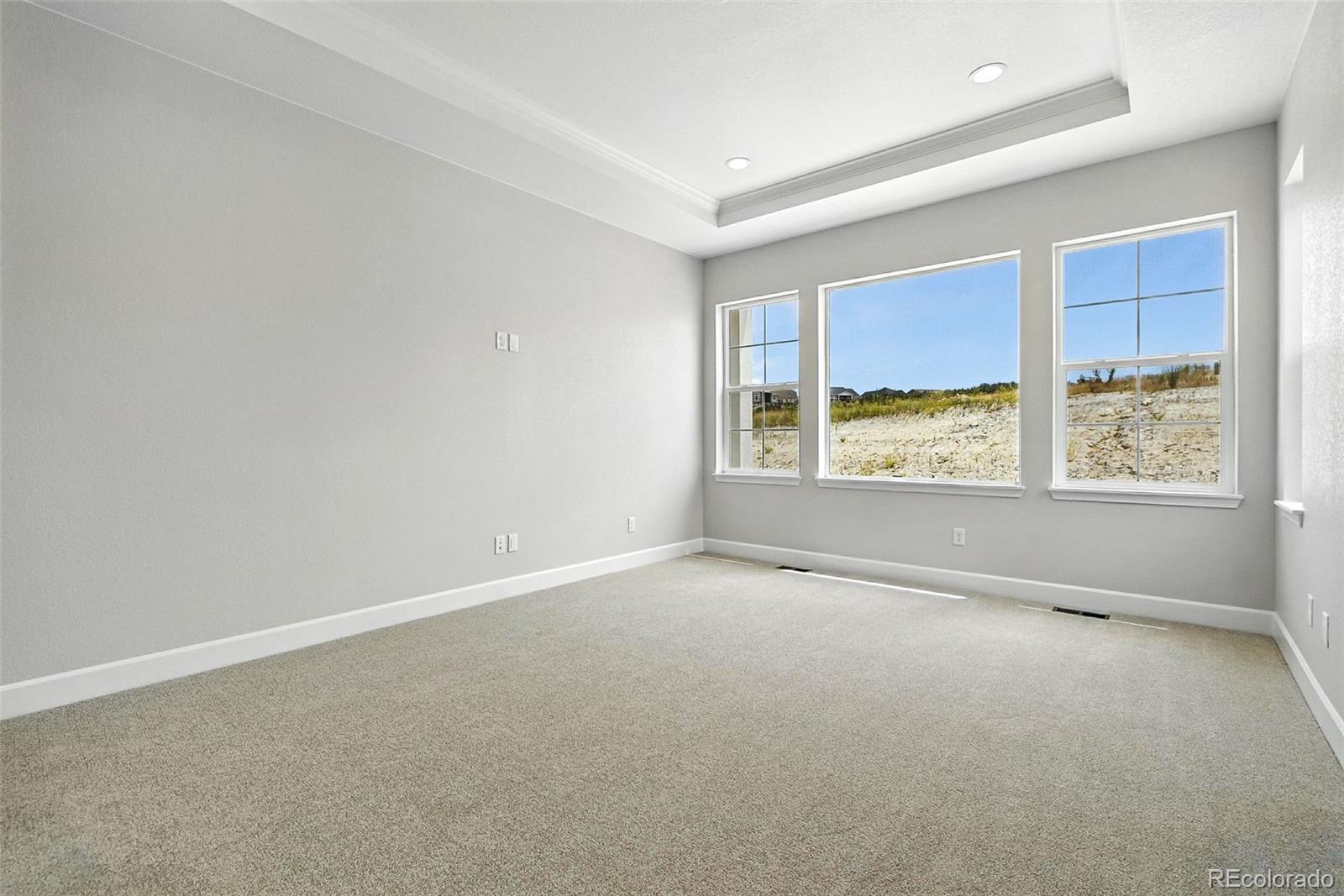3394 Backdrop Court Castle Rock CO 80108