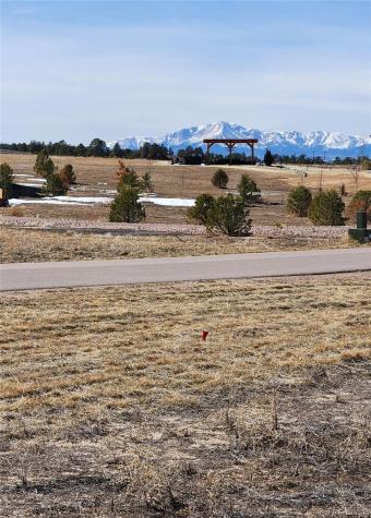 11866 Alamar Way Colorado Springs CO 80908