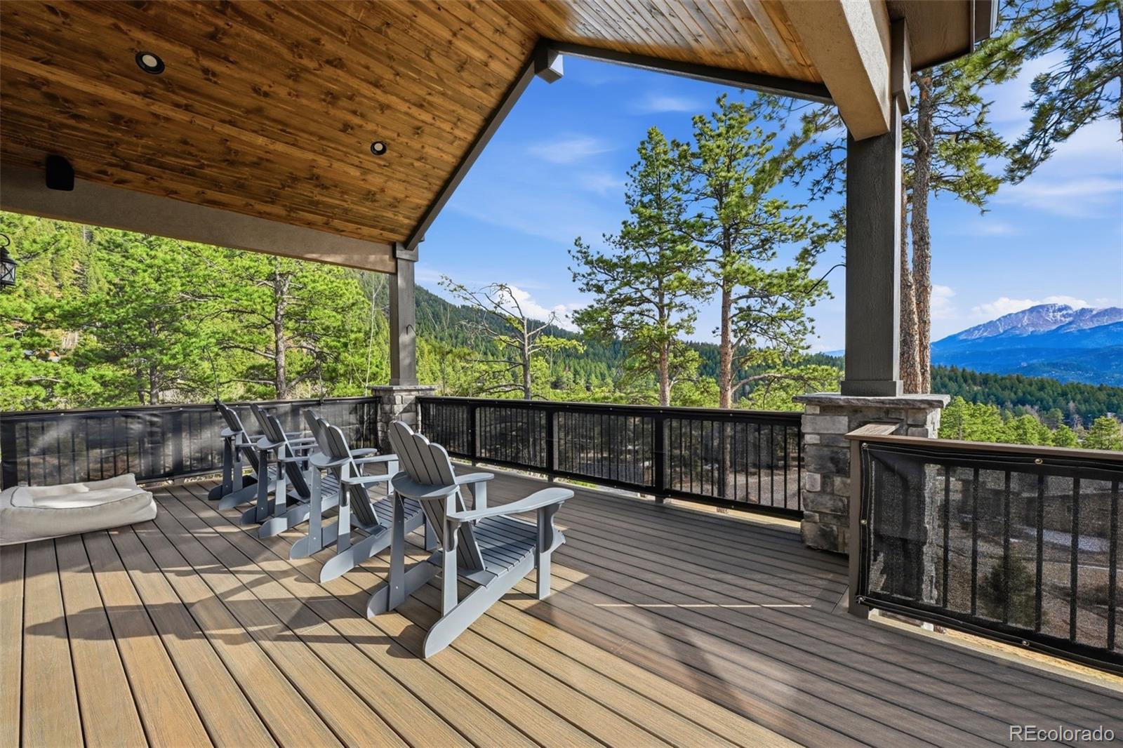 321 Thunder Ridge Drive Woodland Park CO 80863