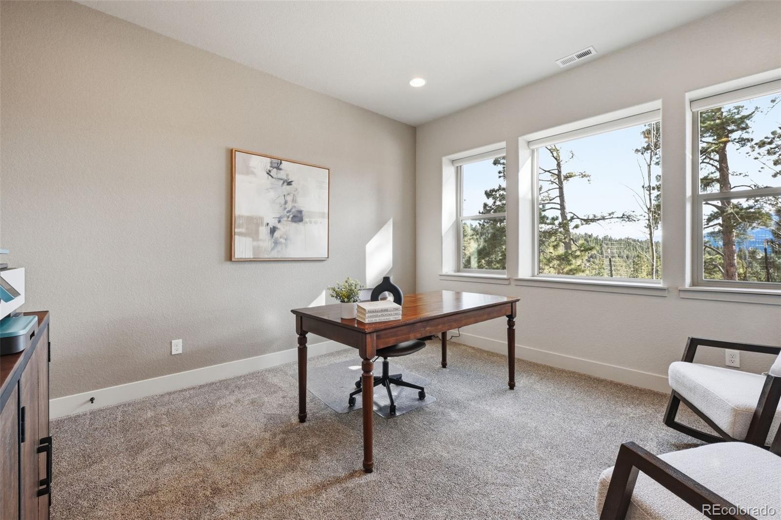 321 Thunder Ridge Drive Woodland Park CO 80863