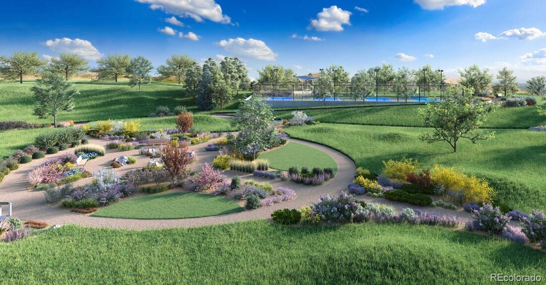 6353 Verve Lane Parker CO 80134