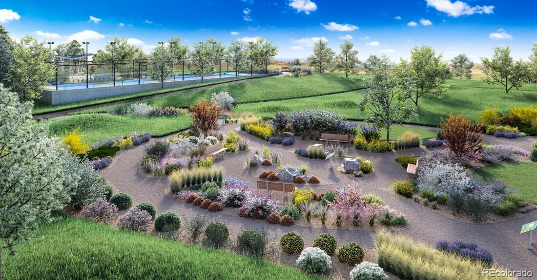 6353 Verve Lane Parker CO 80134