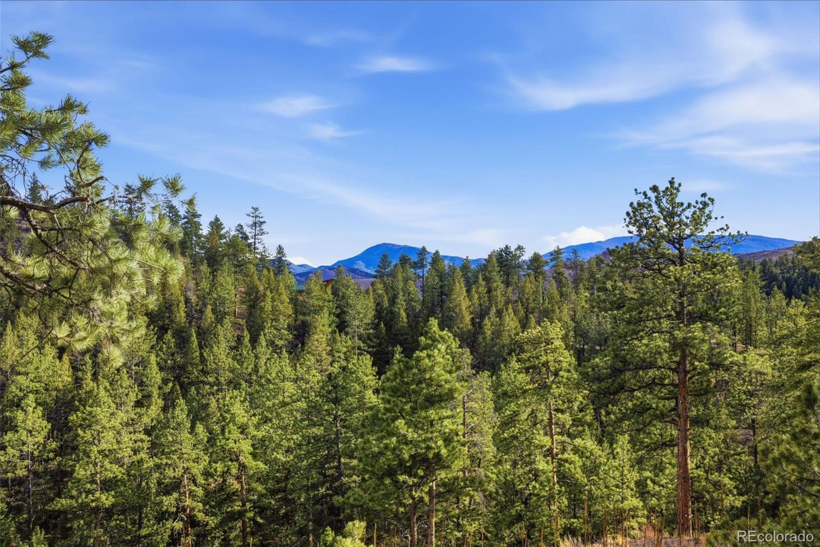 31455 Half Peak Trail Pine CO 80470