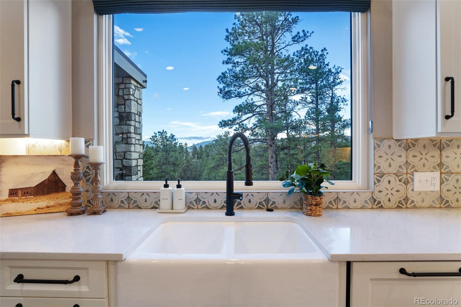 31455 Half Peak Trail Pine CO 80470