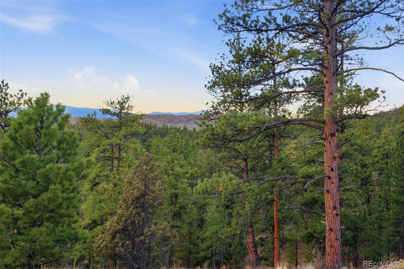 31455 Half Peak Trail Pine CO 80470