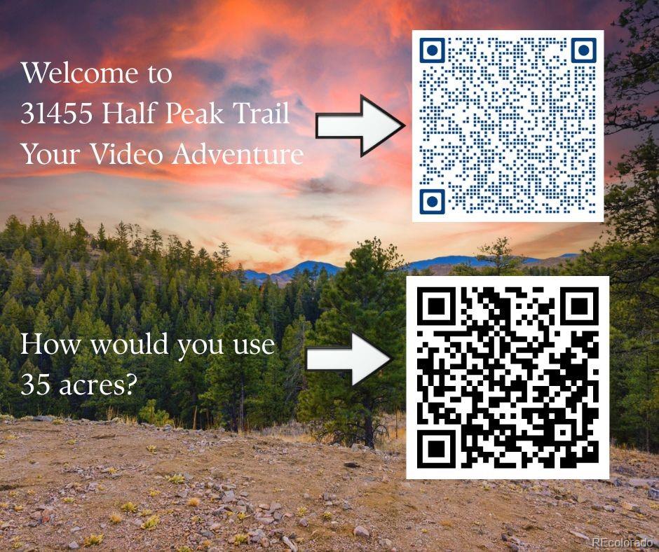 31455 Half Peak Trail Pine CO 80470