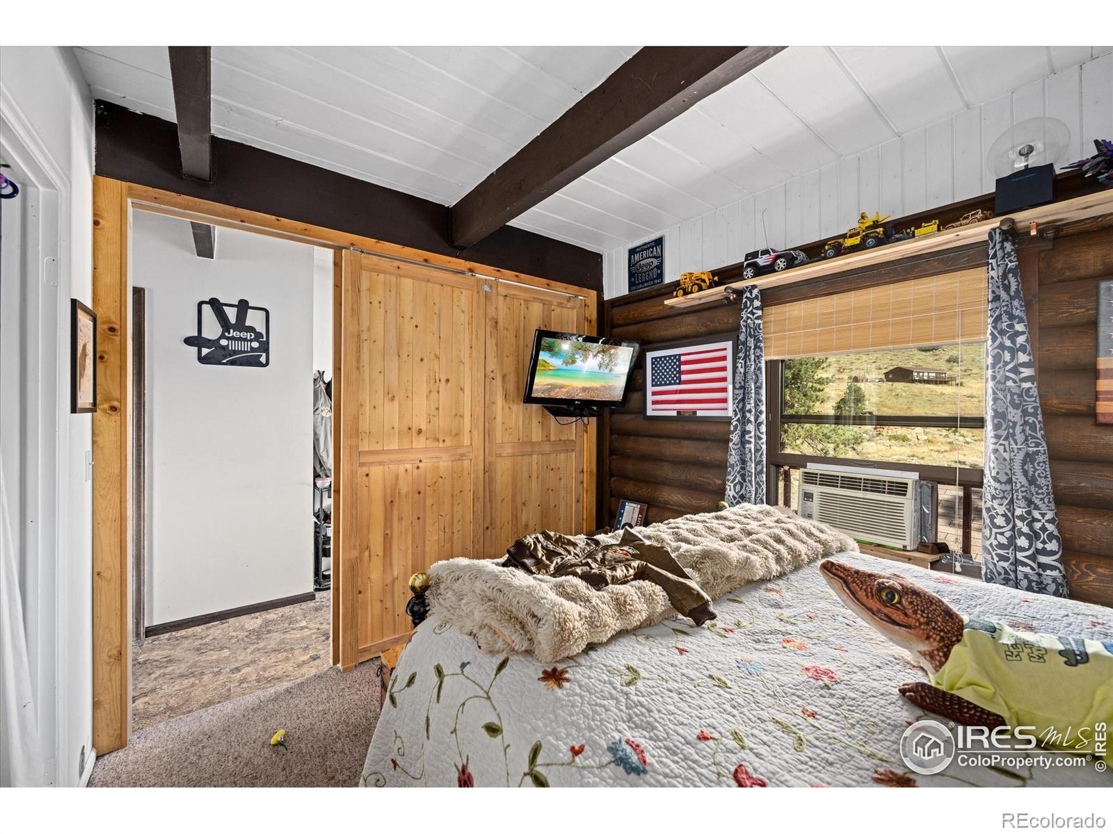 23 E Quandary Court Livermore CO 80536