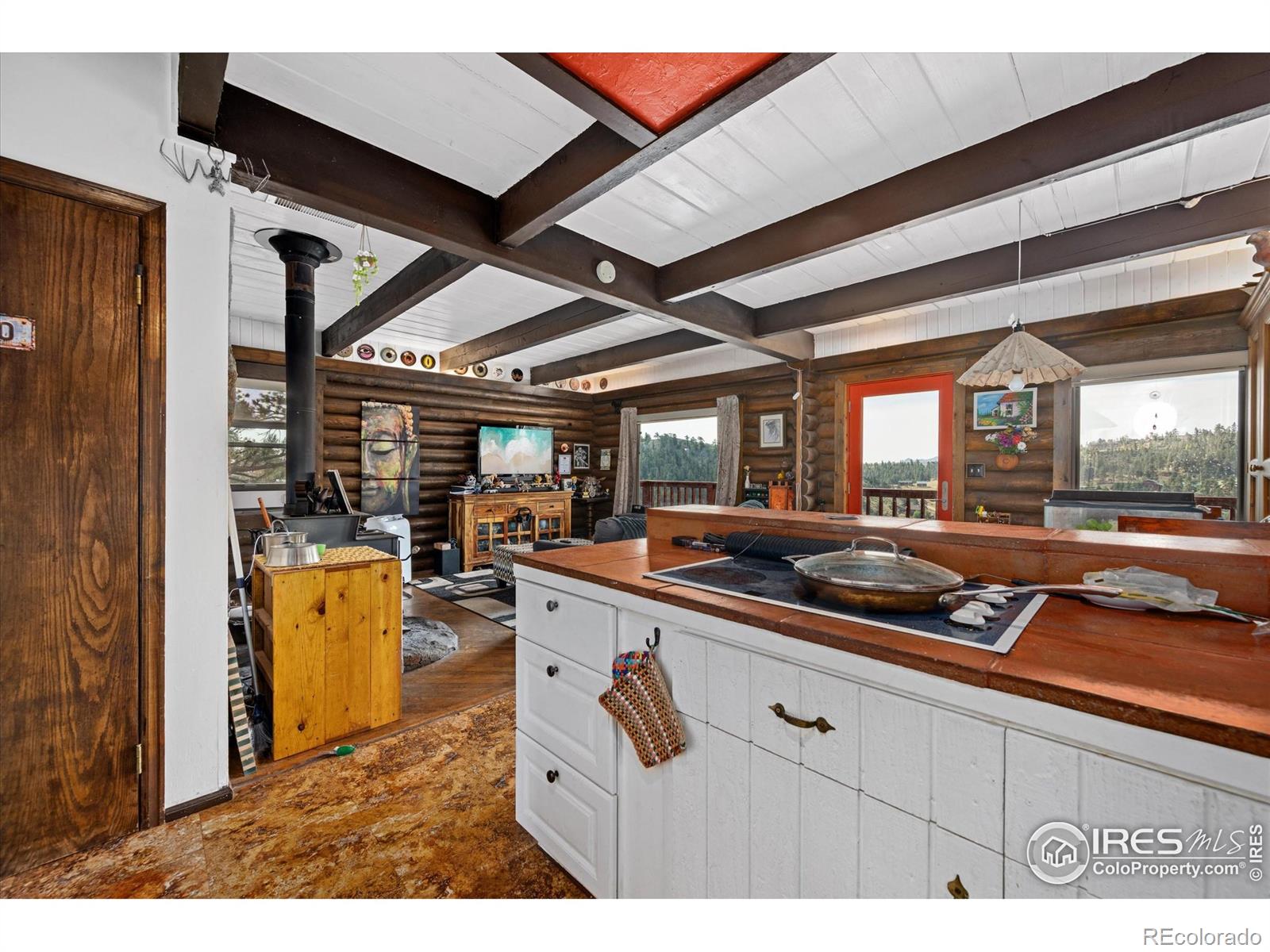 23 E Quandary Court Livermore CO 80536