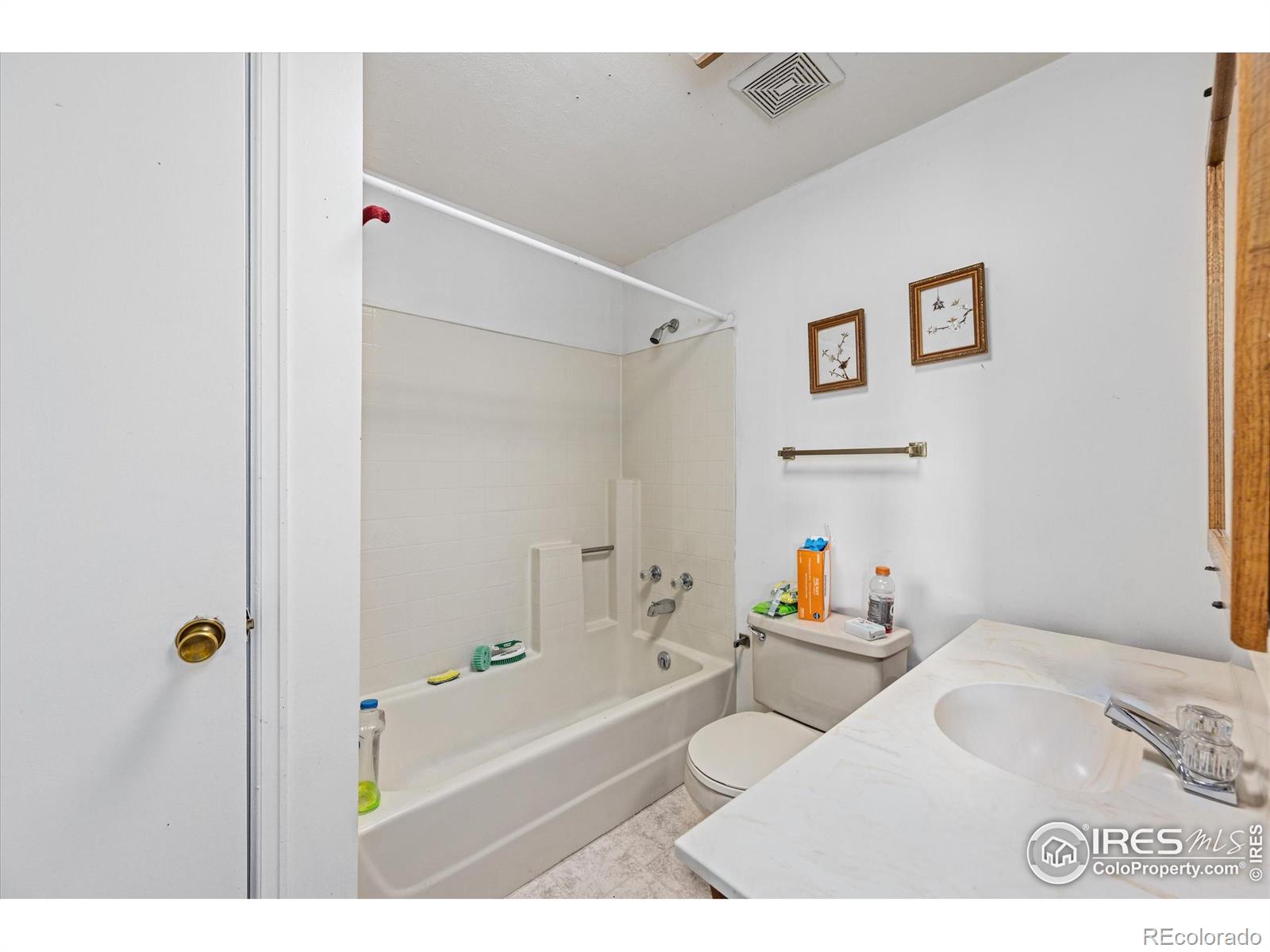23 E Quandary Court Livermore CO 80536