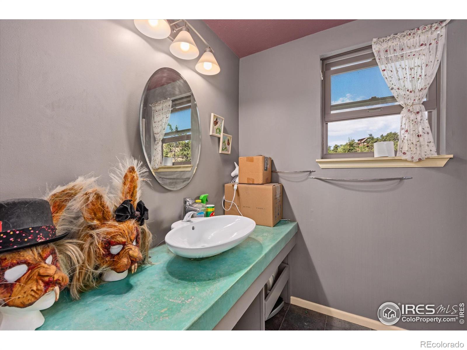 23 E Quandary Court Livermore CO 80536