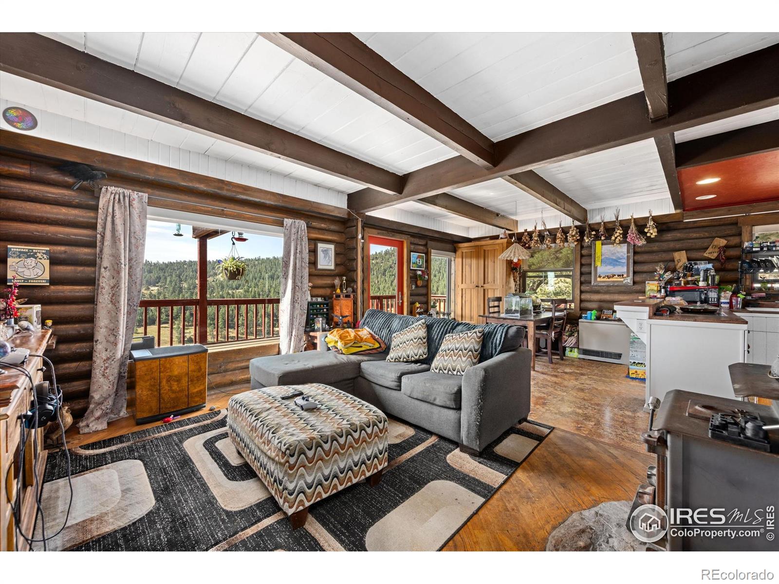 23 E Quandary Court Livermore CO 80536