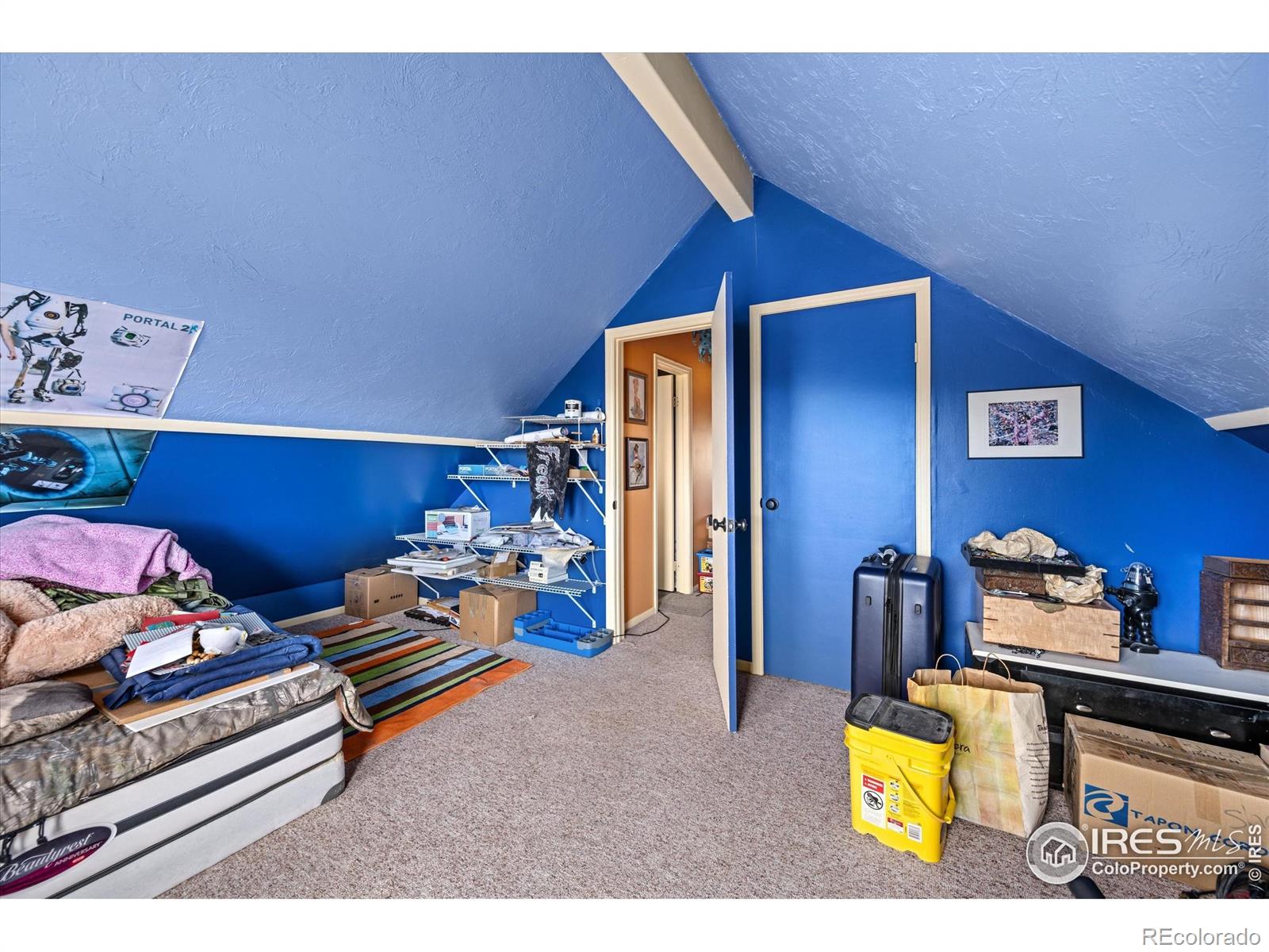 23 E Quandary Court Livermore CO 80536