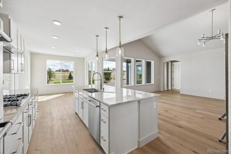 2490 Antelope Ridge Trail Parker CO 80138