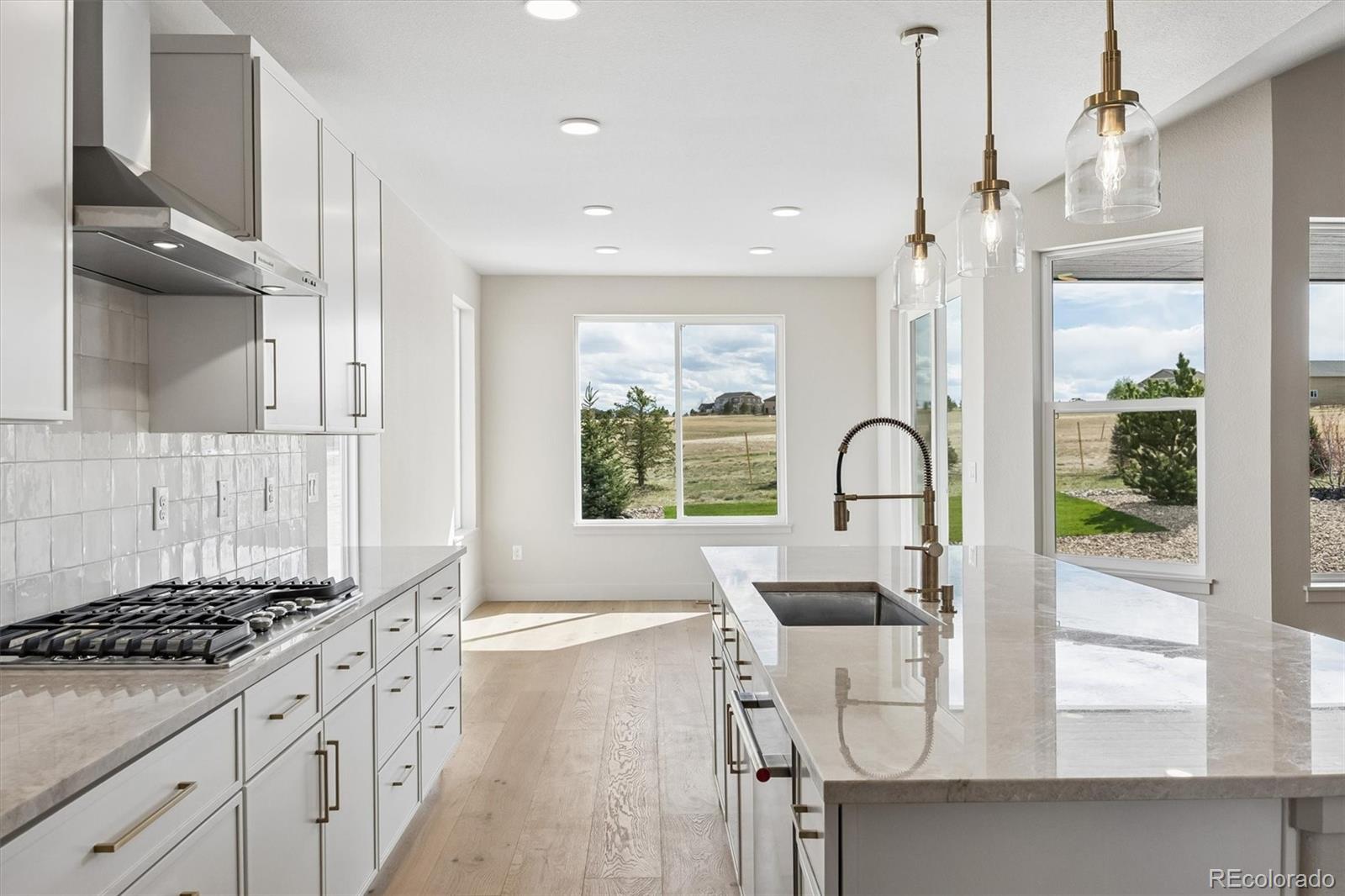 2490 Antelope Ridge Trail Parker CO 80138
