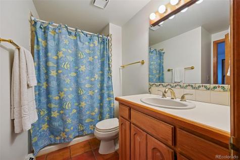 17580 Chipped Arrow Way Monument CO 80132