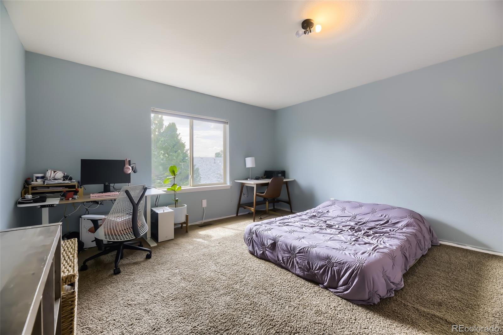 12175 Kalispell Street Commerce City CO 80603