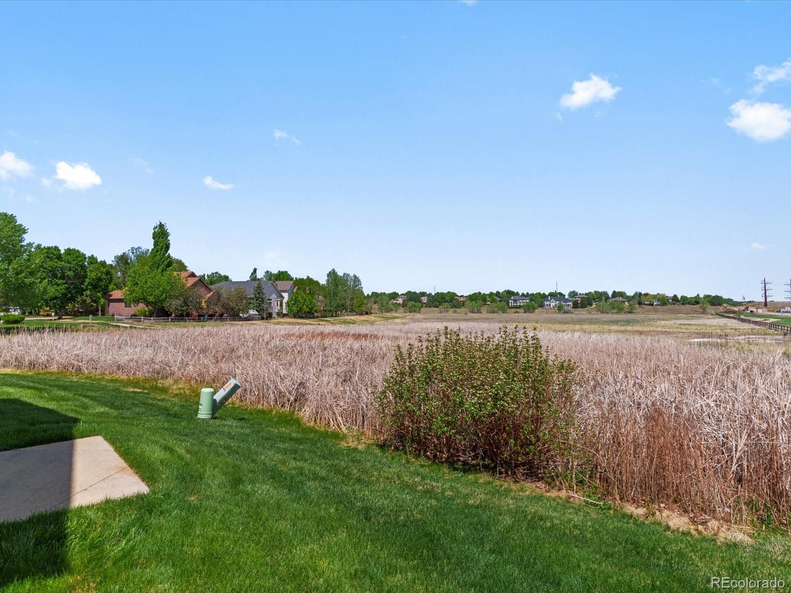 6556 Finch Court Fort Collins CO 80525