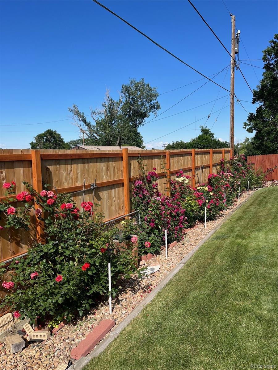 1231 W 102nd Place Northglenn CO 80260